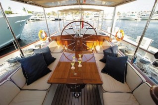 Carle Linne Cockpit